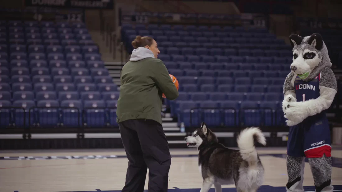 Welcome to Our Store